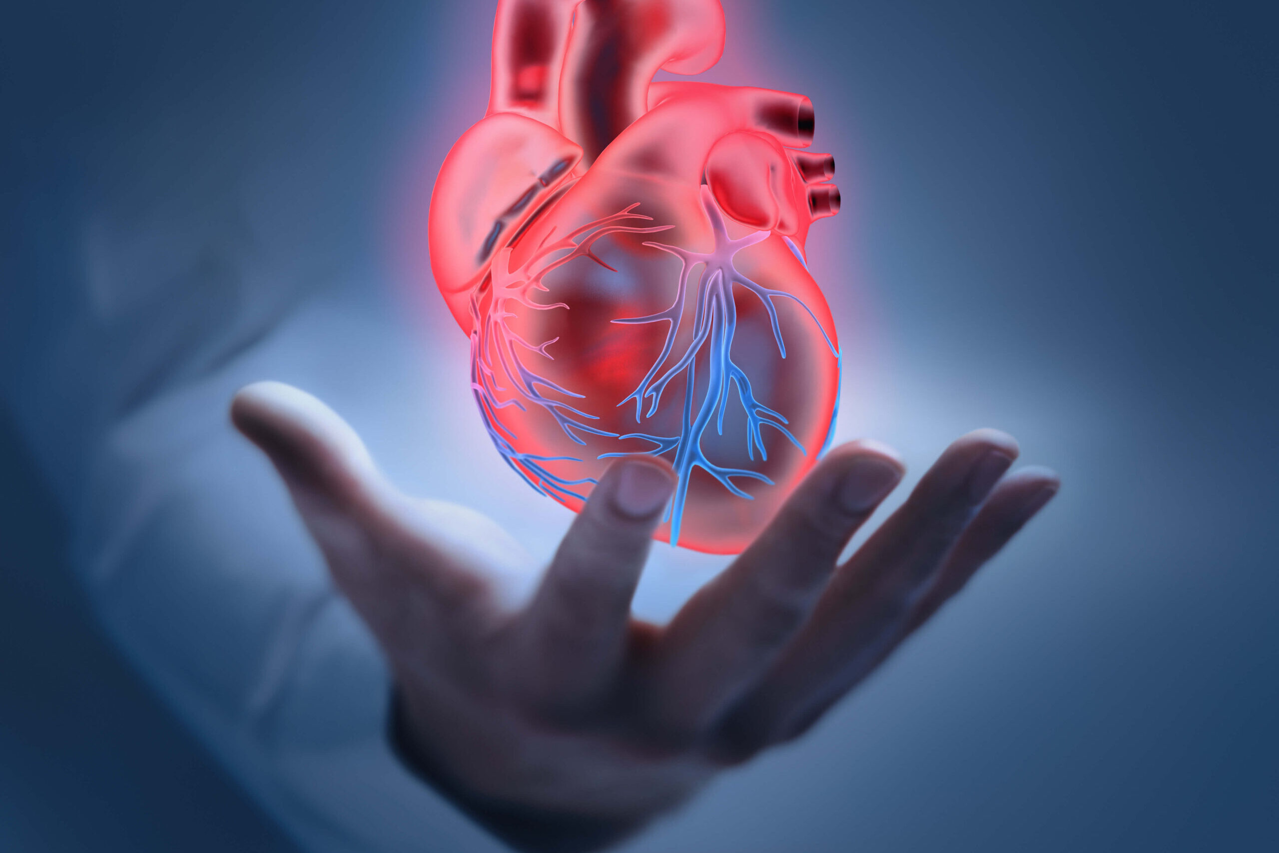 Herz symbolisch in Hand